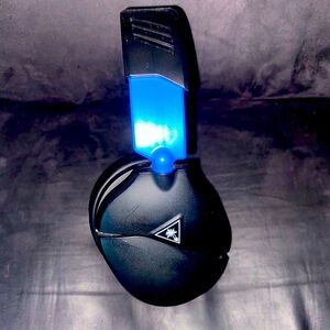 TurtleBeach Gaming Headset